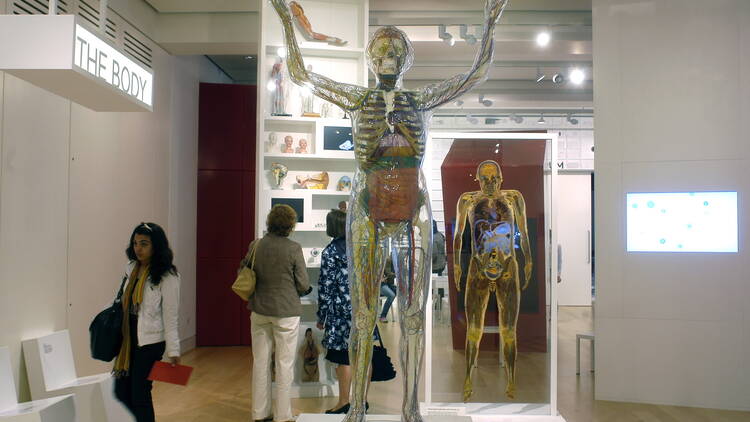 Head up to the Wellcome Collection
