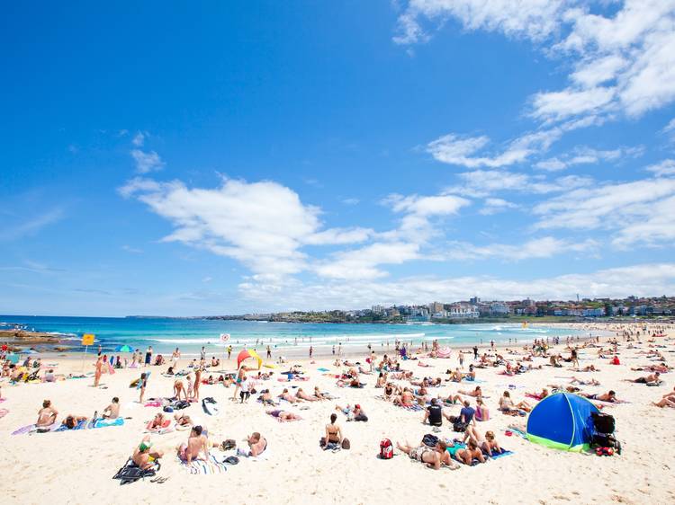 Bondi