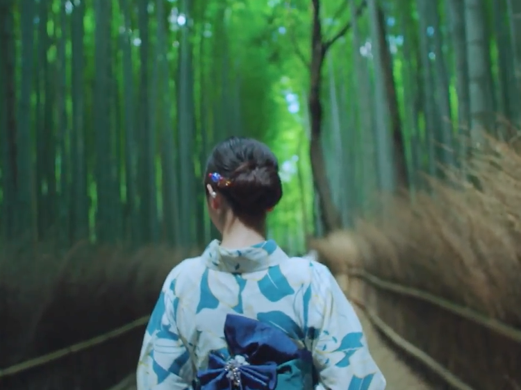 Kimonos and tea ceremonies – explore traditional Kyoto Kimonos and tea ceremonies – explore traditional Kyoto