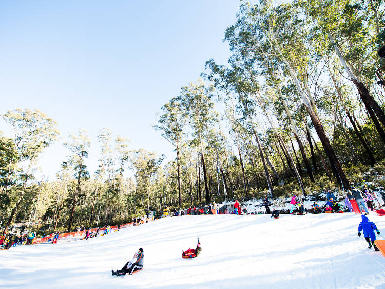 Go skiing or sledding at Corin Forest