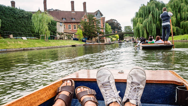 Punt along the River Cam