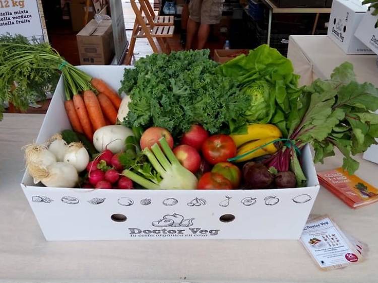 Doctor Veg