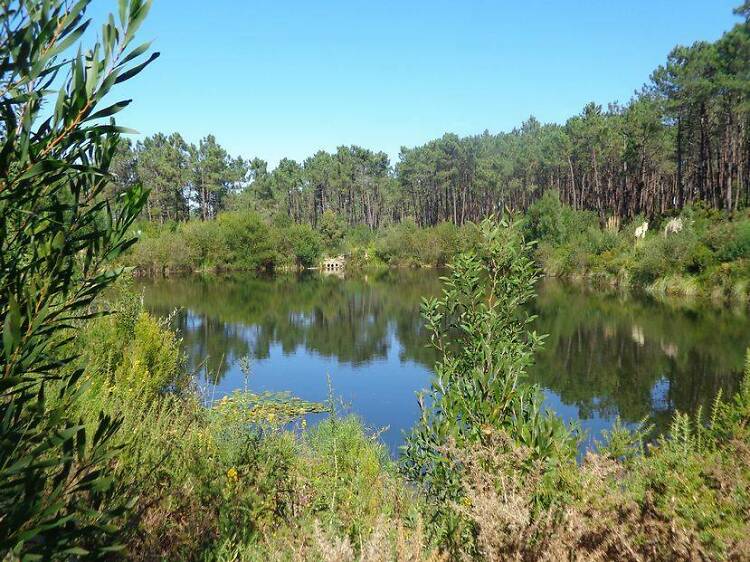 Caminhando entre lagoas de Sintra