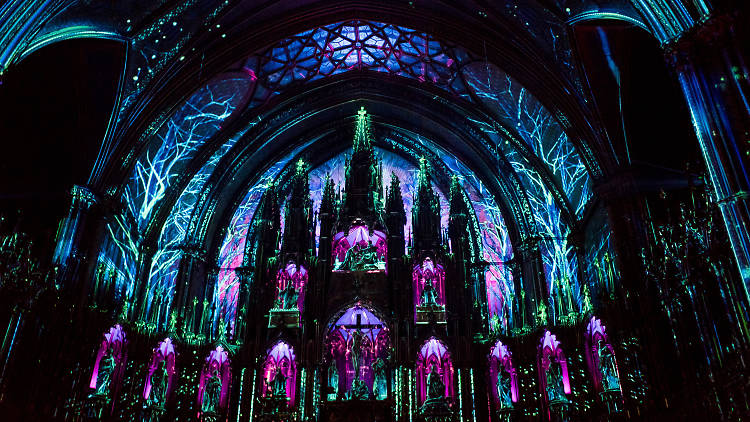 See the lights at the Notre-Dame Basilica