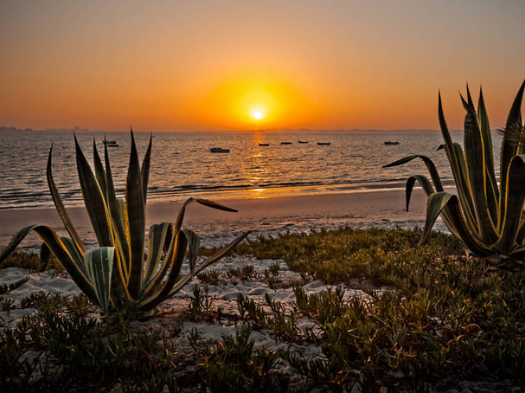 Praia do Rosário