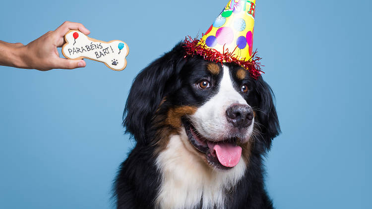 Rossi Pets Bakery