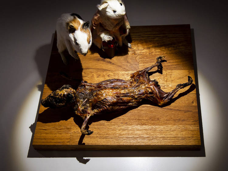 O museu da comida nojenta