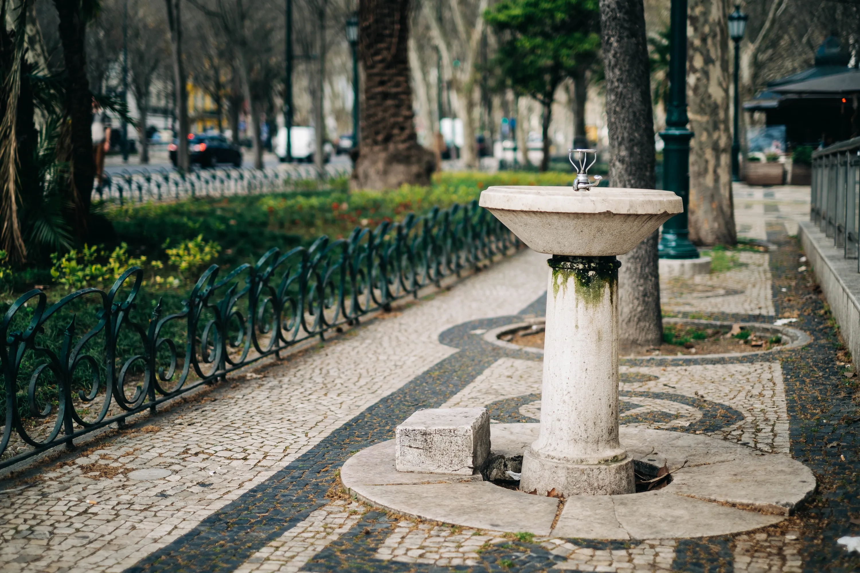 bebedouro avenida da liberdade