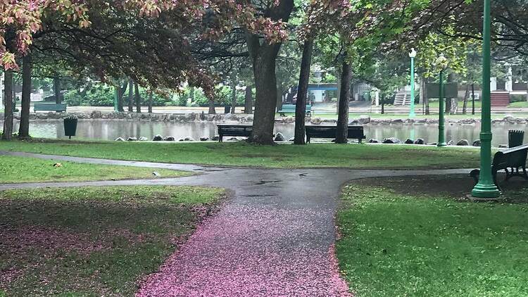 Pratt Park