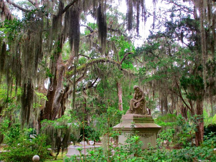 Bonaventure Cemetery | Savannah, GA Bonaventure Cemetery | Savannah, GA