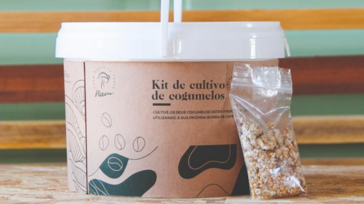 Nãm DIY Grow Kit