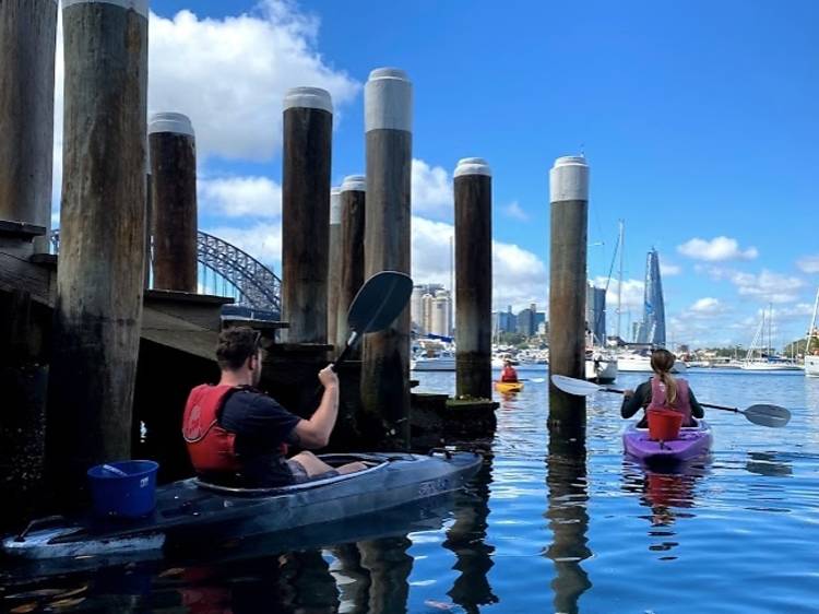 You can take a kayak tour and help clean up Sydney Harbour at the same time