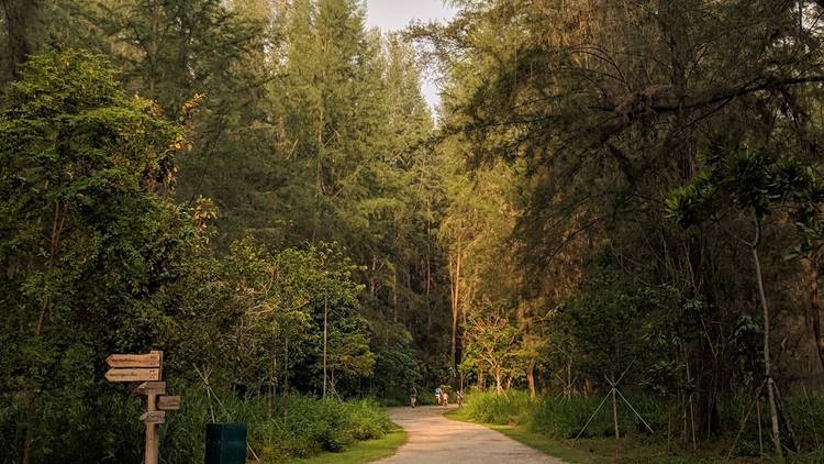 Nature trail: Coney Island (3km)