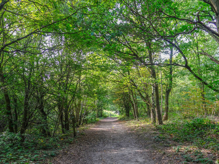 13 fairytale forests to visit in the UK 13 fairytale forests to visit in the UK