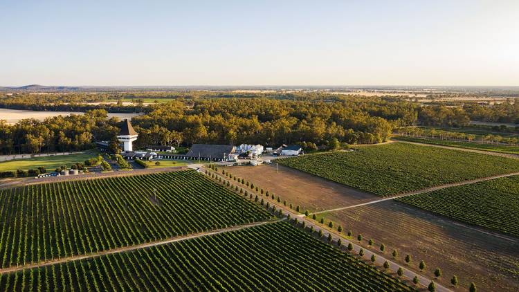 Mitchelton Winery aerial shot