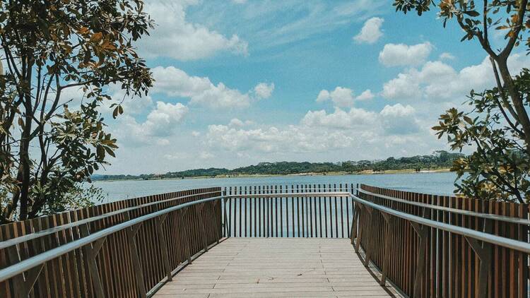 Rower's Bay Park