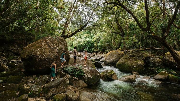 Chase waterfalls in the Daintree Rainforest