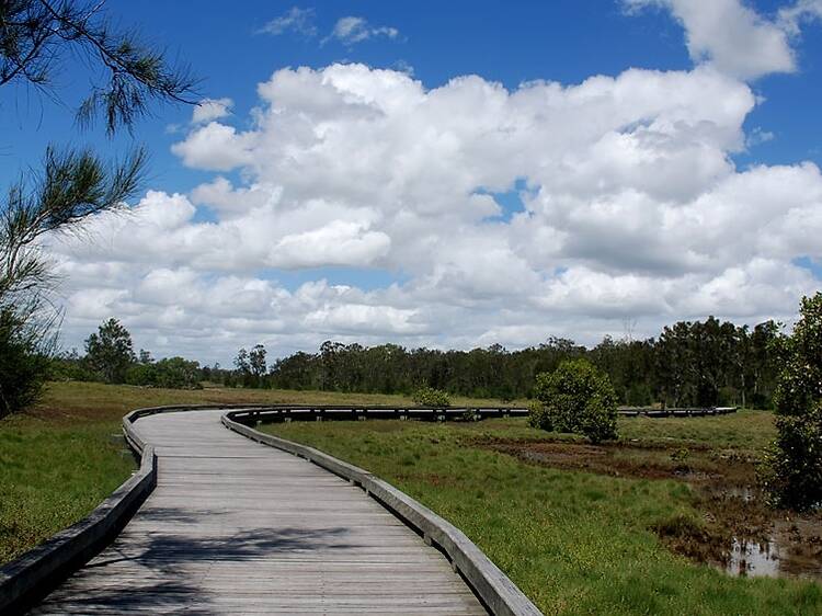 Boondall Wetlands