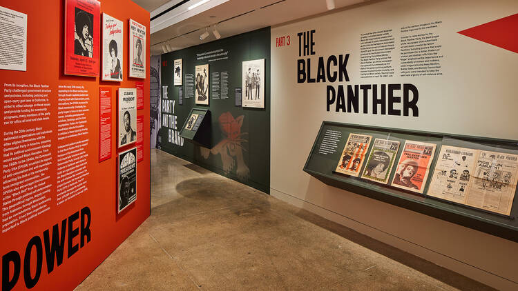 A look at the inside of the Black Panther exhibit.