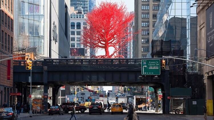 "Old Tree" at the High Line