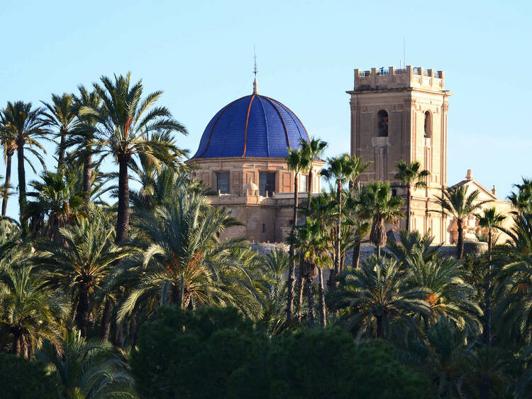 Elche: el oasis de palmeras español conocido por las alpargatas, los outlet y los cohetes espaciales Elche: el oasis de palmeras español conocido por las alpargatas, los outlet y los cohetes espaciales