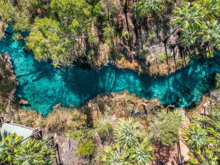 Unwind at Mataranka Hot Springs