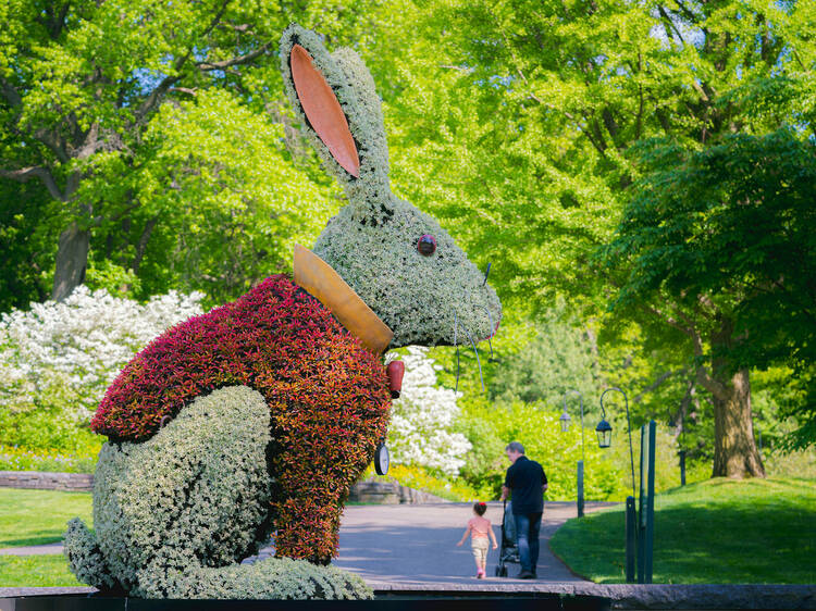 Wonderland: Curious Nature at New York Botanical Garden