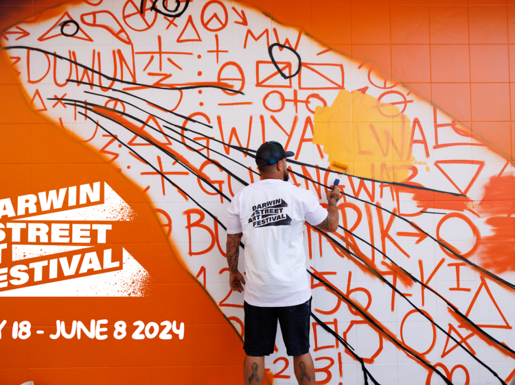 Darwin Street Art Festival, NT
