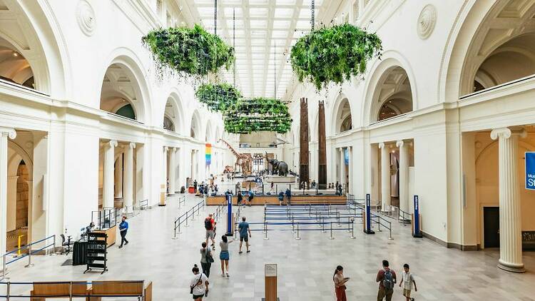 The Field Museum