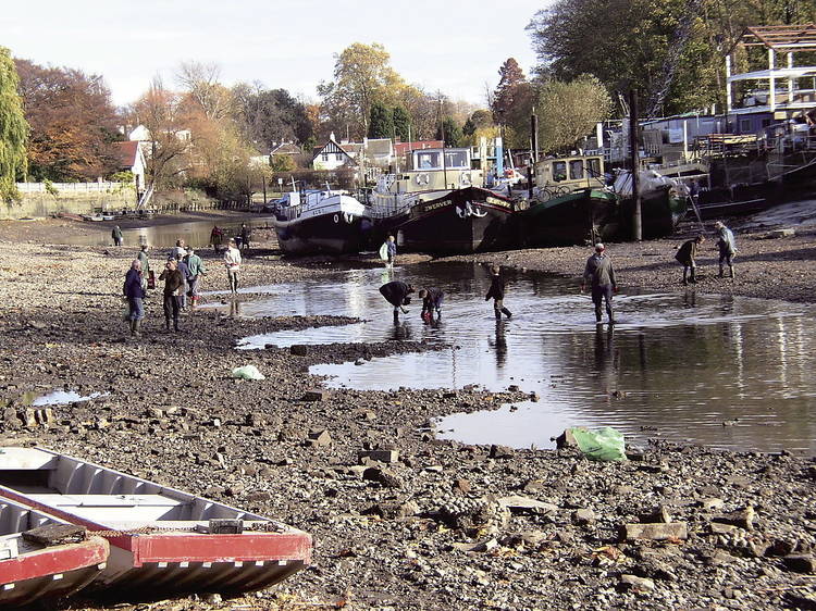 Eel Pie Island